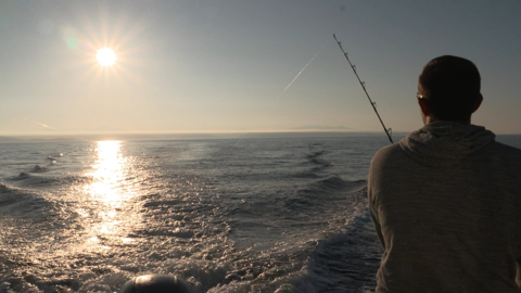 La pêche au thon en Méditerrannée