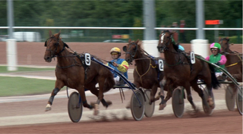 The French Trotting Horse, Picking Up Speed