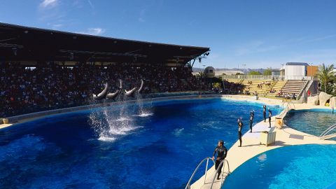 Dans les coulisses des parcs aquatiques Dans les coulisses des parcs aquatiques