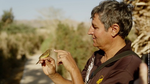 BATTLE FOR THE BIRDS: in the skies of Israel