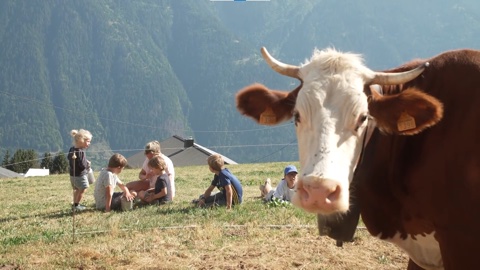 Les vacances des familles nombreuses