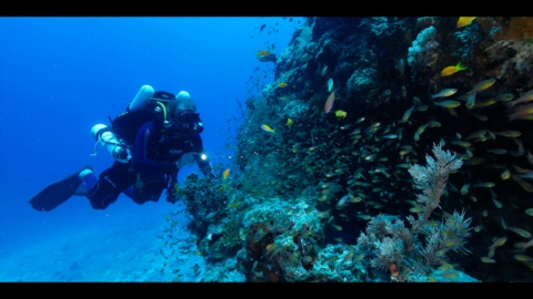 VINGT MILLE ANS SOUS LES MERS